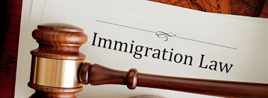 Immigration Law38